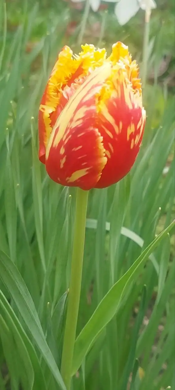 Фото 9